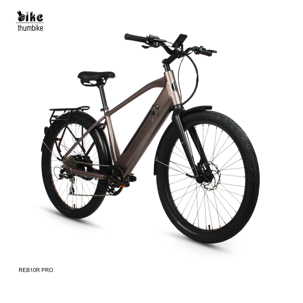 Vélo de ville électrique de gros pneu en aluminium puissant à longue portée 500W personnalisé