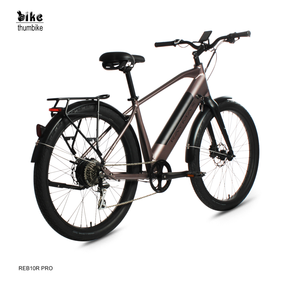 Vélo de ville électrique de gros pneu en aluminium puissant à longue portée 500W personnalisé