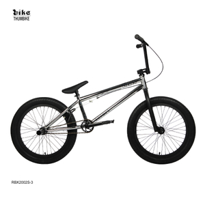 Vélo BMX 20 pouces antirouille en zinc personnalisé