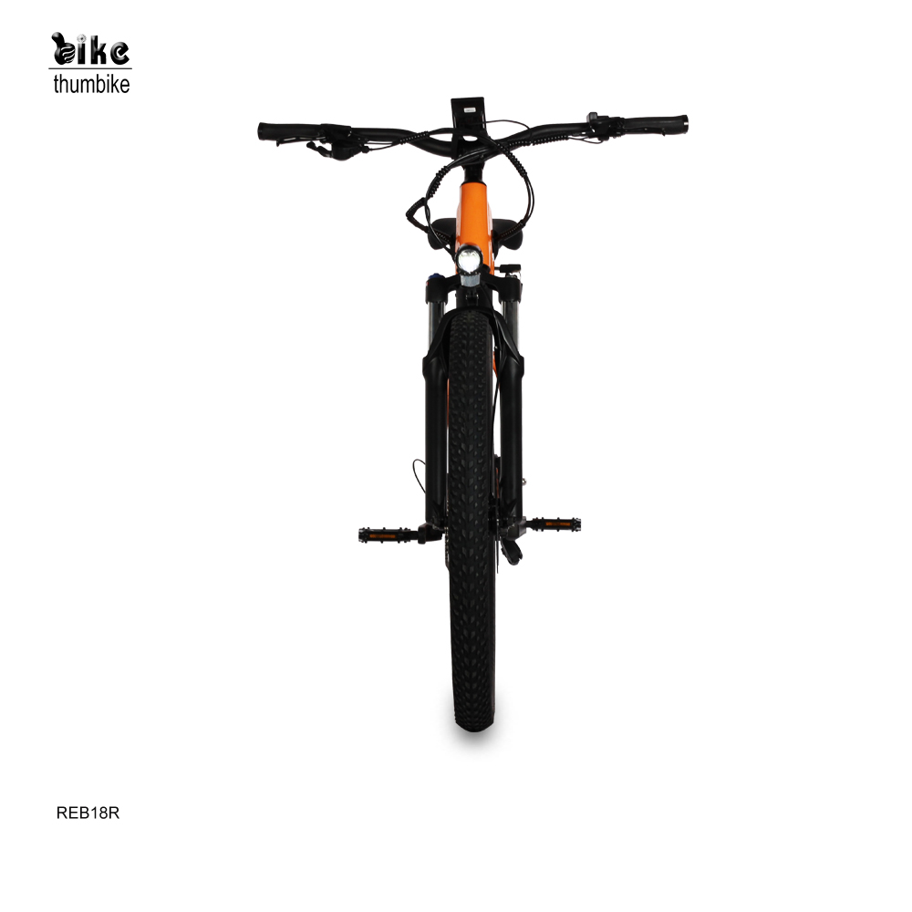 Vélo hybride électrique unisexe 500W personnalisé