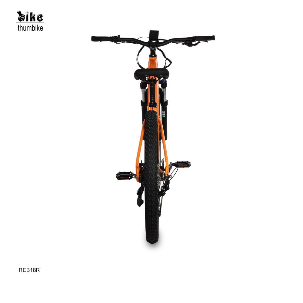 Vélo hybride électrique unisexe 500W personnalisé