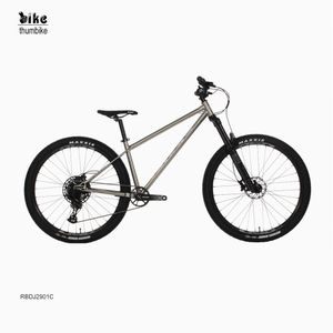 Vélo de montagne personnalisé de 29 pouces, jeux de sport, BMX freestyle