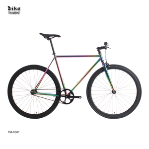 Vélo à vitesse unique Oil Slick Hi-ten Steel Fixie Bike 